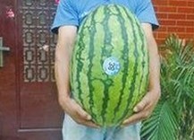 爆笑吃瓜合集上线，娱乐圈那些年沙雕瞬间全记录😂