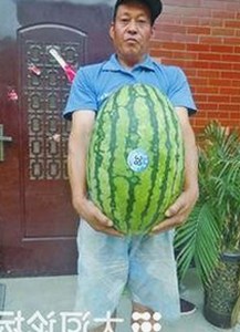 爆笑吃瓜合集上线，娱乐圈那些年沙雕瞬间全记录😂